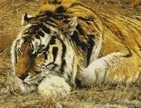 

Набор для шитья «Сибирский тигр», Набор для вышивки крестиком 14 карат, без принта, «сделай сам», ручная работа, Декор