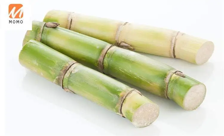 

Wholesale price Stainless Steel Manual Sugarcane Juicer Extractor/Sugar Cane juice making Machine