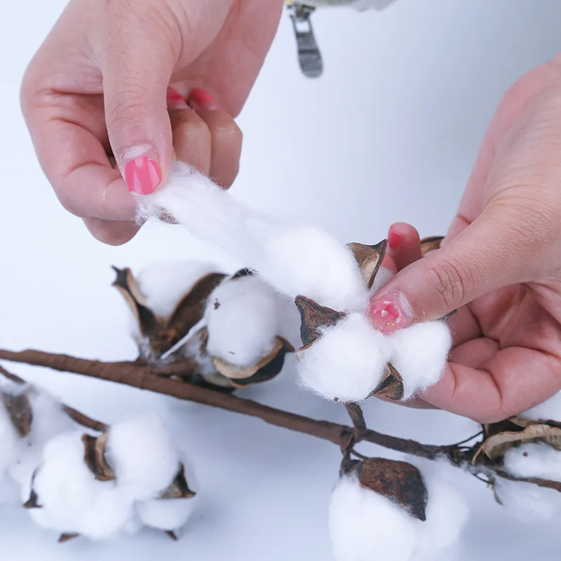 Сушеные хлопковые цветы с 10 головками искусственные растения веточка для