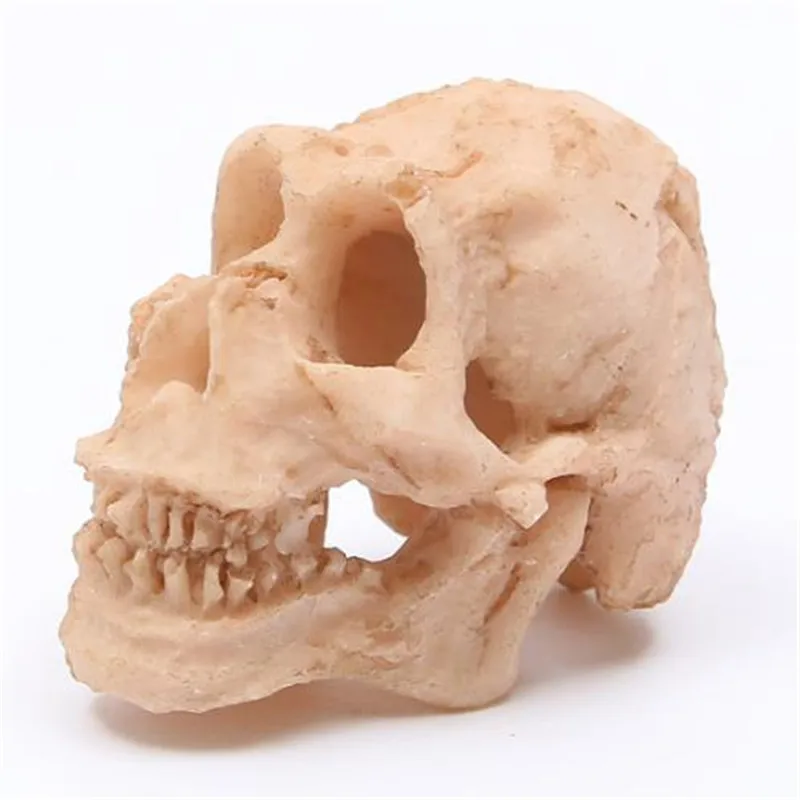 

Home Decor Skull head 3D Mini Resin Figurine Art Statue Model Room Saloon Desk Europe & America Sculpture Decoration Gifts