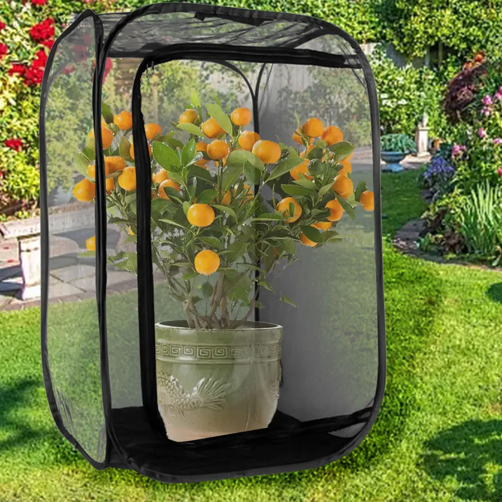 Butterfly Habitat Mini Insect And Butterfly Cage Popup Collapsible Insect Mesh Cage All Black Insect Net Cage Feeding Standard