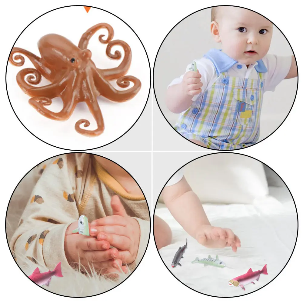

2 Sets Octopus Salmon Life Cycle Model Fishes Growth Cycle Model Educational