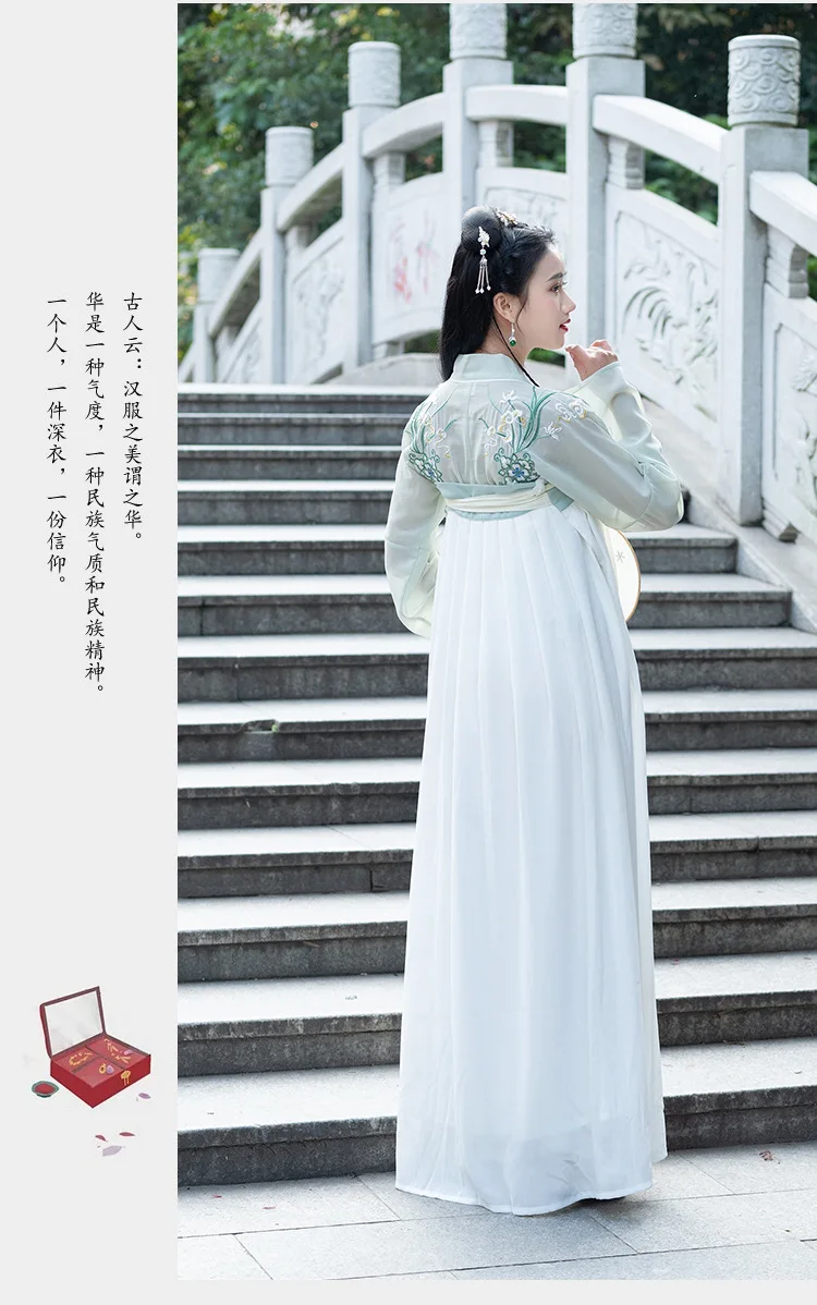 Сценический costumeTraditional Wei Jin Wind китайский женский шифоновый топ с вышивкой на