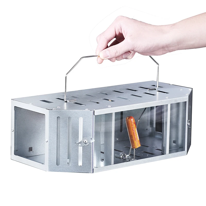 

Upgrade Double Door Automatic Lock Mouse Rat Trap Metal Humane Acrylic Mousetrap