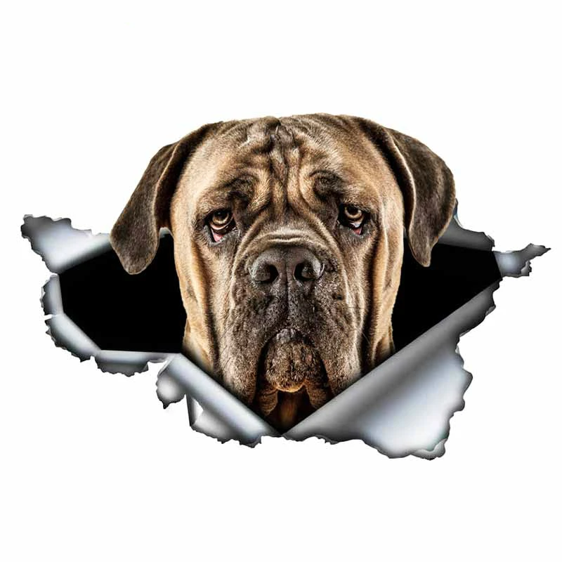 JuYouHui внешние аксессуары наклейка Лидер продаж яркие 3D стикер на машину с собакой