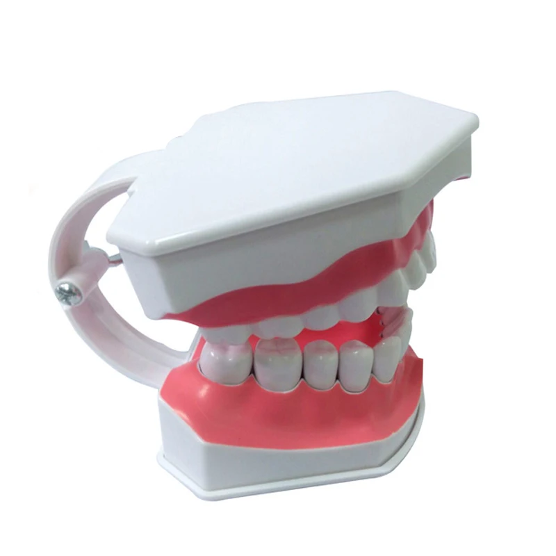 1PC Kids Pretend Play Toy Dentist Check Teeth Model Medical Educational Role Simulation Learing Toys For Children | Игрушки и хобби