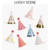 Birthday Party Hats Paper Cone Felt Pompoms  Art Craft Kids Adults Party Costume Accessories Assorted Colors S00958 1