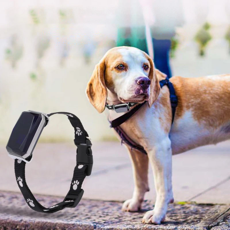 

GSM / GPS трекер двухпозиционный ошейник для собак, чтобы предотвратить потерю/базе данных собака воротничок товары для животных