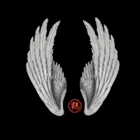 1pcs angels wings iron on transfer vinyl heat transfer patches stripes for clothes patch thermo stickers on clothes badges