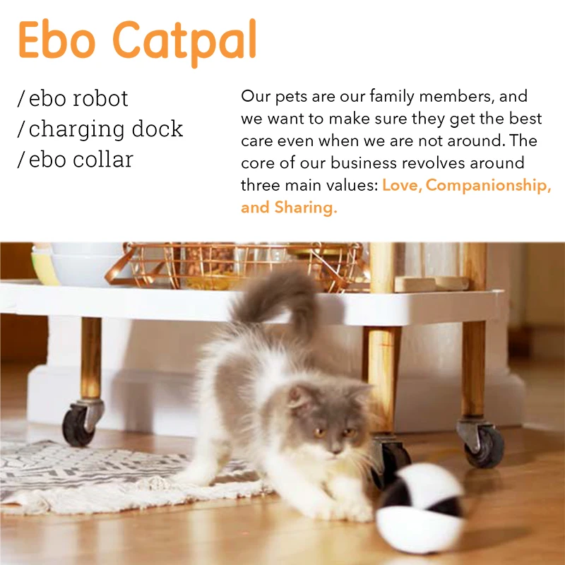 Ebo Catpal Smart Robot 1080P Camera Livestream Photography Video Tracking Record for Cat Pets 6Axis IMU with SONY IMX323 Sensor |
