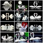 EverShine Алмазная живопись Полный квадратный раунд Лебедь 5D DIY Алмазная вышивка животные вышивка крестиком подарок ручной работы Мозаичное Искусство