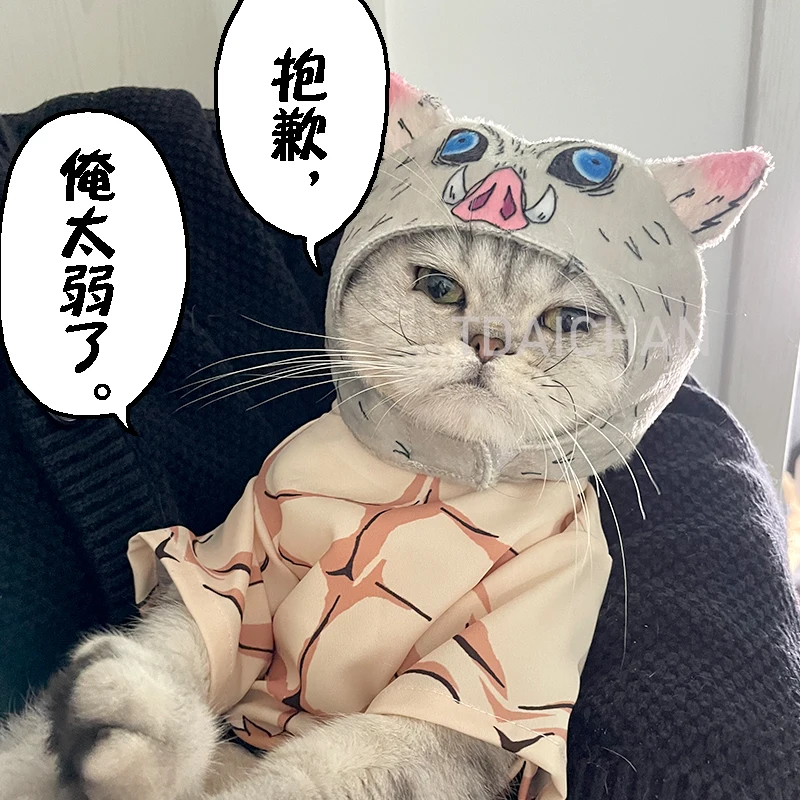 

Костюм для косплея кошки из аниме «рассекающий демонов», модный Удобный накидка для кошек, киттэн, кеди