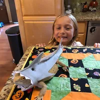 Ваши животные, ведь тоже хотят быть красивыми#3