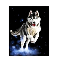 ruopoty cute husky dog diy painting by numbers for kids adults acrylic painting diy pictures by numbers on canvas for living roo