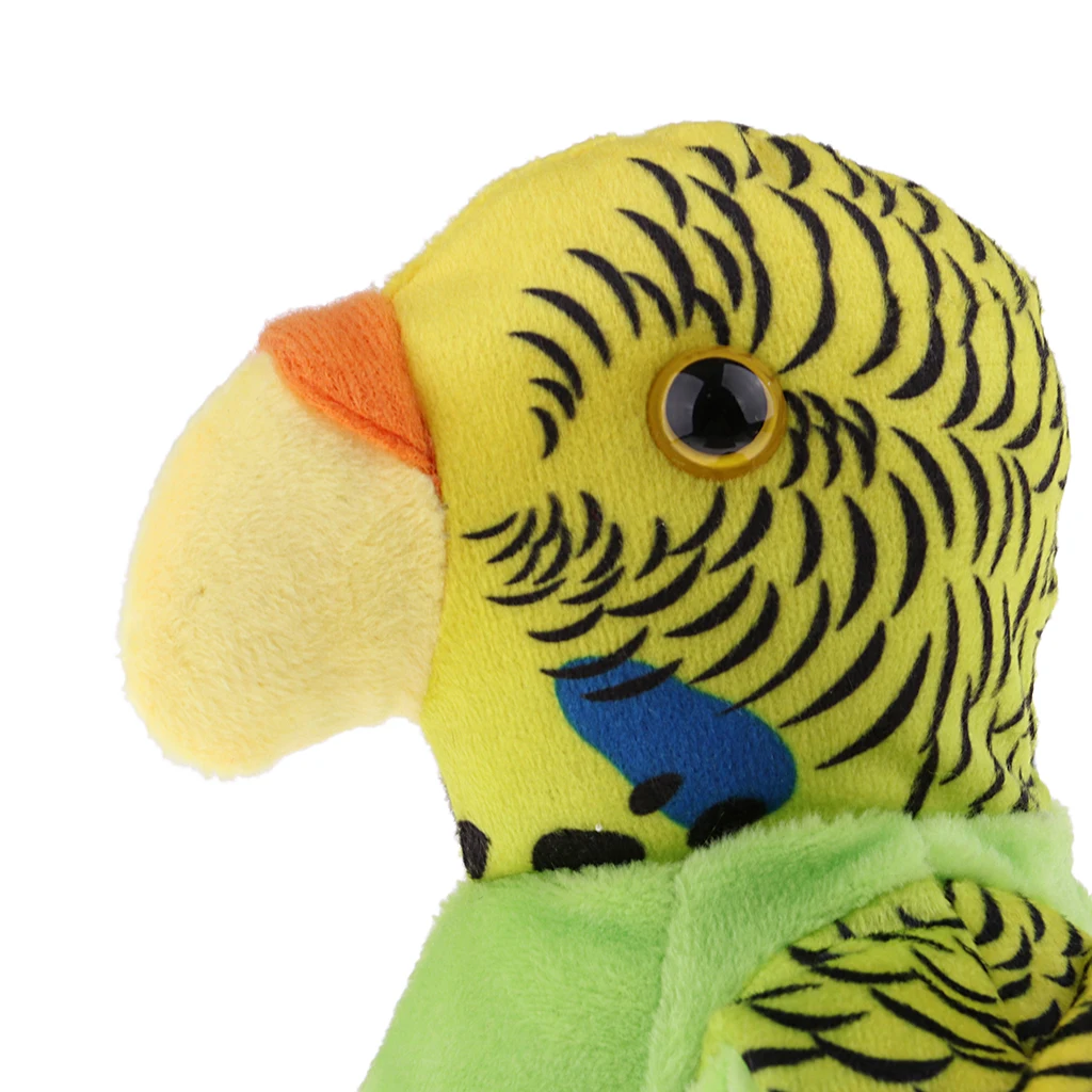 

Beautiful Talking Green Parrot Repeats Bird Voice Sound Recorder Toy