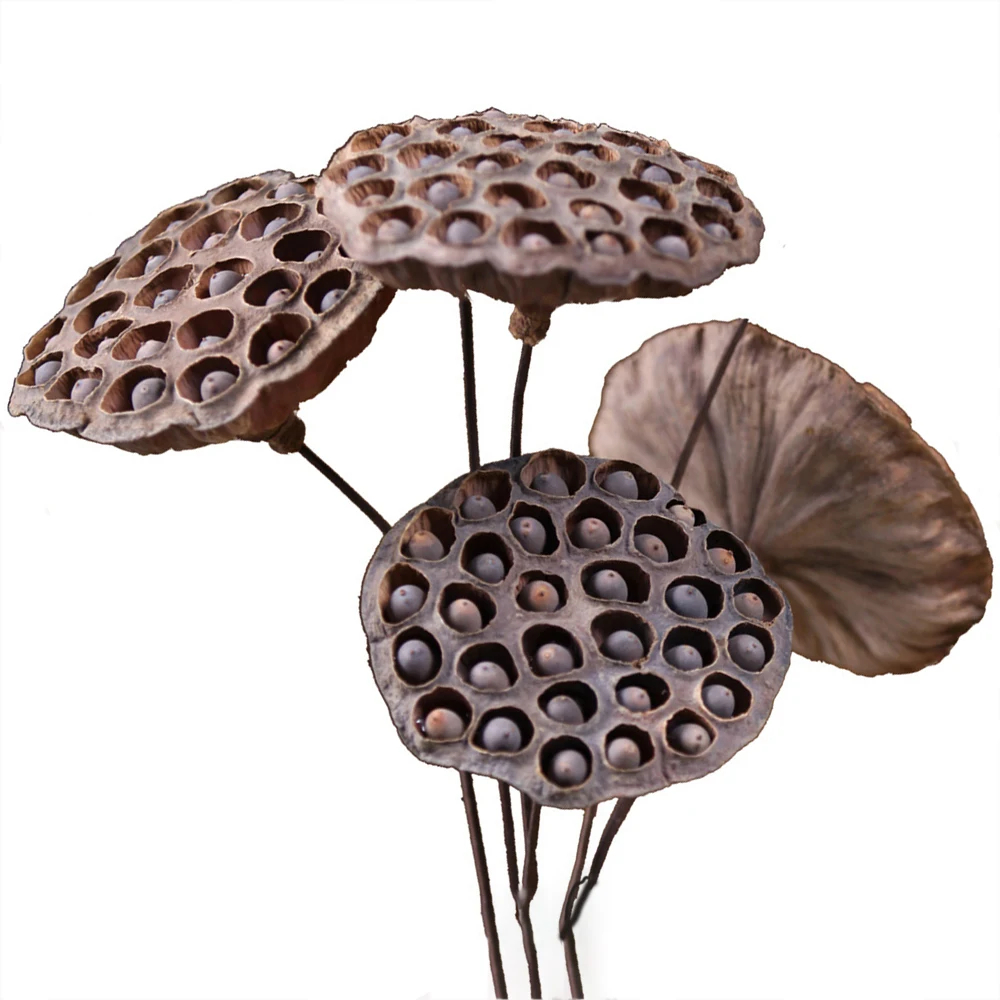 2 шт. искусственные цветы лотоса 55 см|Искусственные и сухие цветы| |