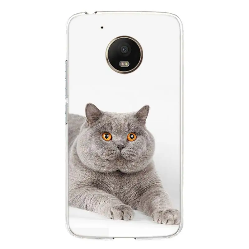 Чехол для телефона с британским котом короткого замыкания Motorola Moto G9 G8 G7 G6 G5S E6 E5 Plus