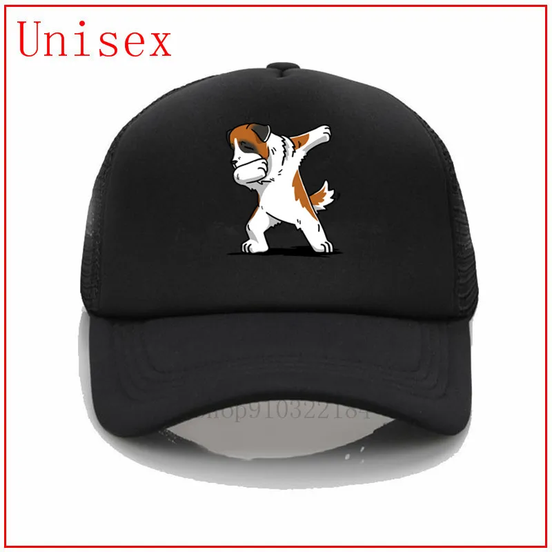 Забавная Мужская Панама с изображением собаки Бернара головные уборы для женщин