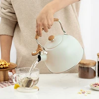 2 5l whistle kettle flat bottom whistle kettle european style stainless steel whistle kettle outdoor kitchen accessories