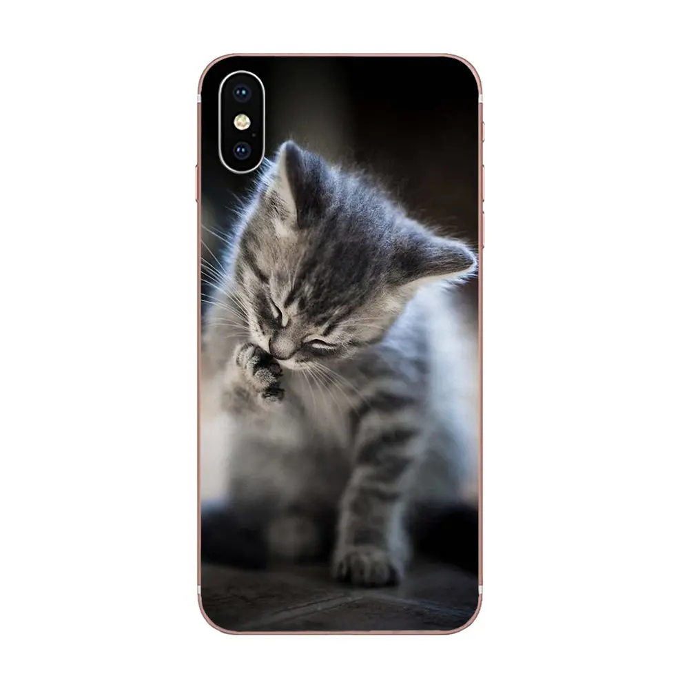 For Huawei Honor 4C 5A 5C 5X 6 6A 6X 7 7A 7C 7X 8 8C 8S 9 10 10i 20 20i Lite Pro Soft Capa Cover Case Little Kitten Cute Cat | Мобильные