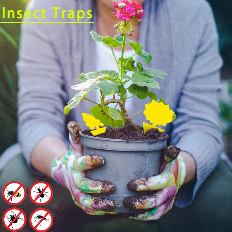 

10Pcs Yellow Sticky Insect Traps, Dual-Sided Fly Paper Stickers for Flying Plant Insect Catcher Flycatcher on the Balcony Garden