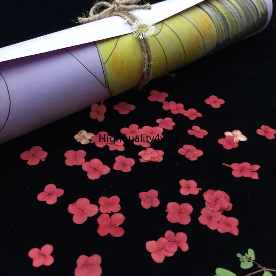 

120pcs Dried Pressed Red Lxora Chinensis Lam Flower Plant Herbarium For Jewelry Postcard Invitation Card Bookmark Phone Case DIY