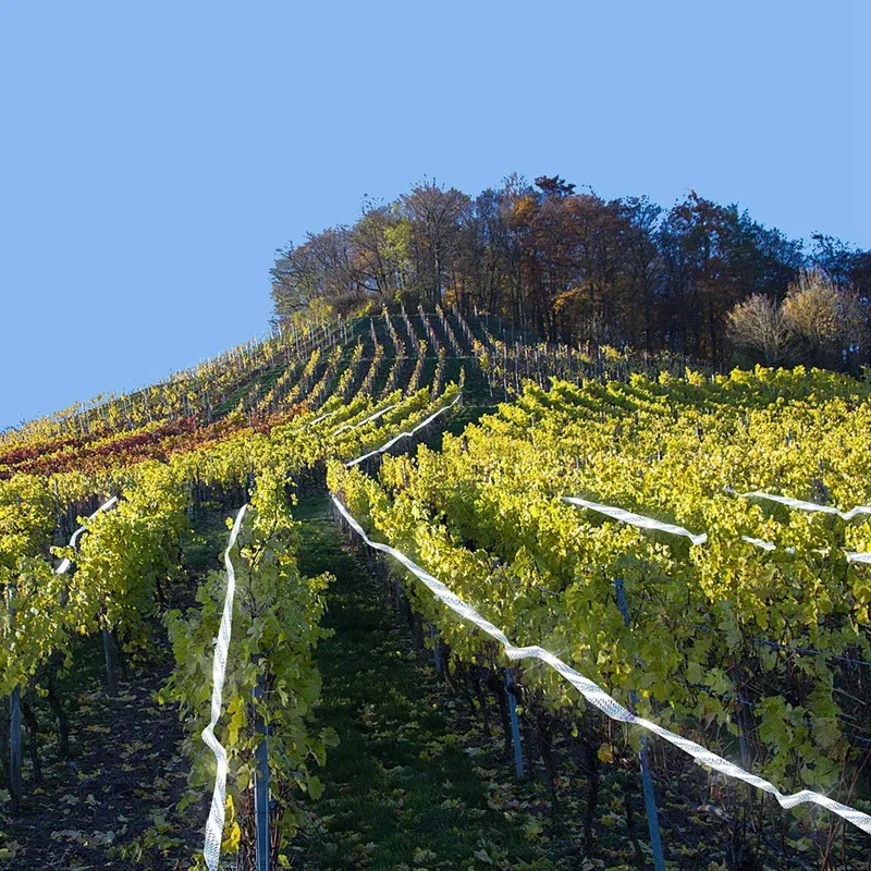 Лента для отпугивания птиц-350 футов Двусторонняя светоотражающая лента птиц