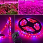 Фитолампа полного спектра SMD5050, Светодиодная лента для выращивания растений, цветов, теплиц, гидропонных систем, 5 м, 12 В