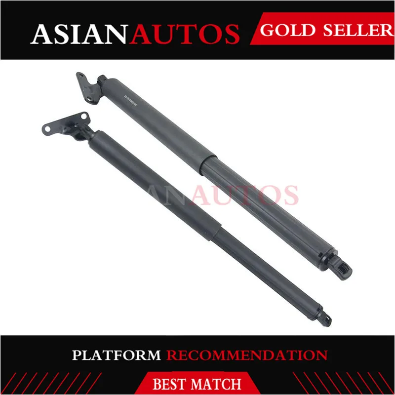 

2PCS tailgate strut L&R L+R 1647400645R 1647400545L for BMW W164GL NEW