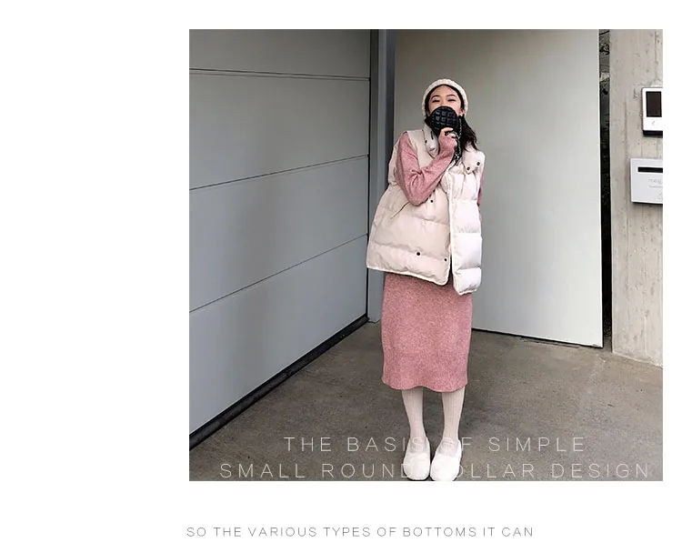 Turtleneck Cashmere Knitted Sweater Dress Women Autumn Spring Noodles Elastic Long Sleeve thick Pullover Winter Dress