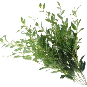 10 шт., ветки оливкового дерева