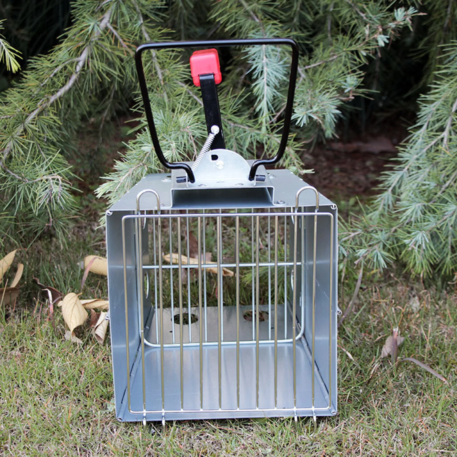 

Charcoal Chimney Starter Barbecue BBQ Grill Quick Light