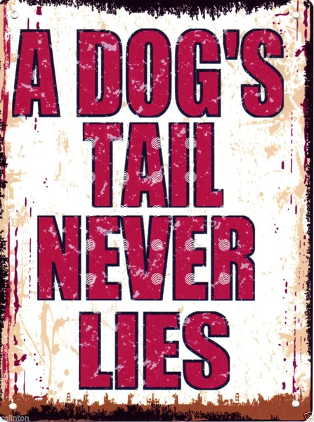 

A Dogs Tail Never Lies Metal Sign Funny Pet Parlour Vet Grooming Salon