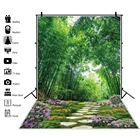 Зеленые весенние фоны для фотографии бамбуковый сад цветок камень дорога естественный вид живописный фото фон для фотостудии