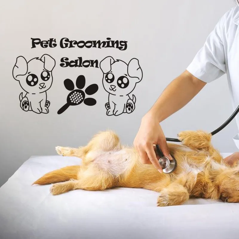 Уход за салонами наклейка для магазина домашних животных плакаты виниловые