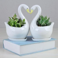white swan small flower pot personality ceramic crafts office home decoration gardening creative flower pot