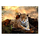 Алмазная вышивка LZAIQIZG сделай сам с леопардом, полноразмернаякруглая 5D мозаика с животными, стразы, вышивка крестиком, украшение для дома