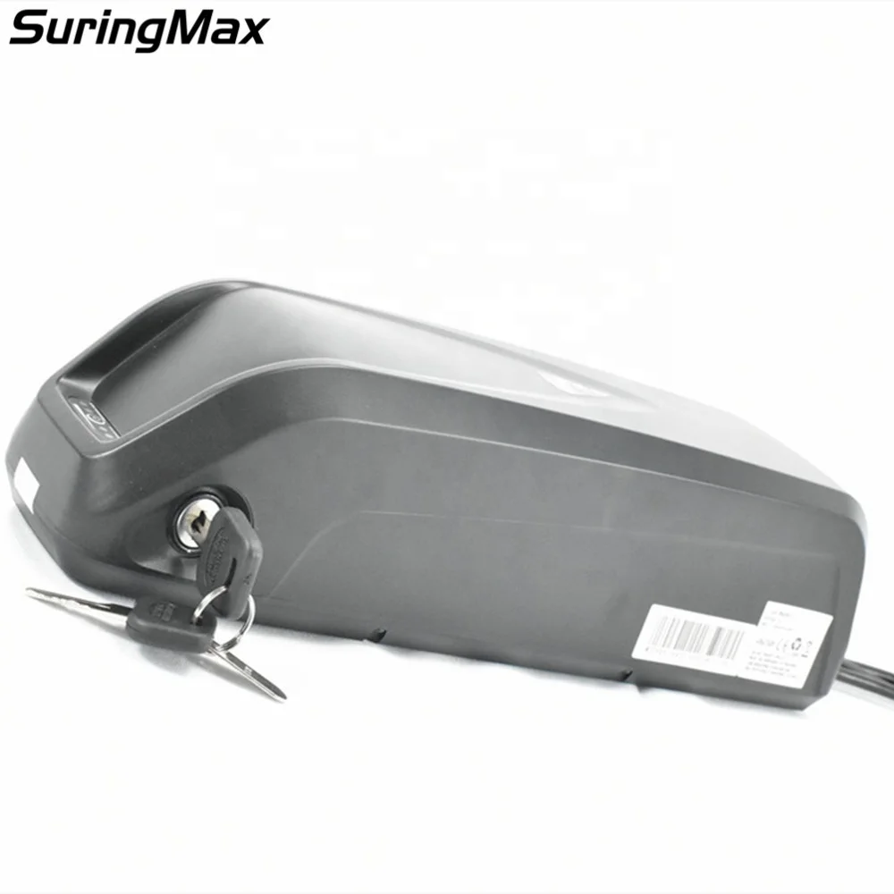 

Well Designed electric bicycle battery with charger 48v 25ah