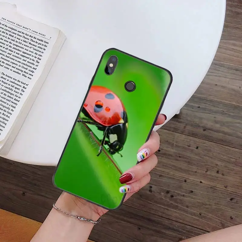

Maple leaves Phone Cases For Xiaomi Redmi 7 9t 9se k20 mi8 max3 lite 9 note 8 9s 10 pro Soft Silicone Shell Cover Funda