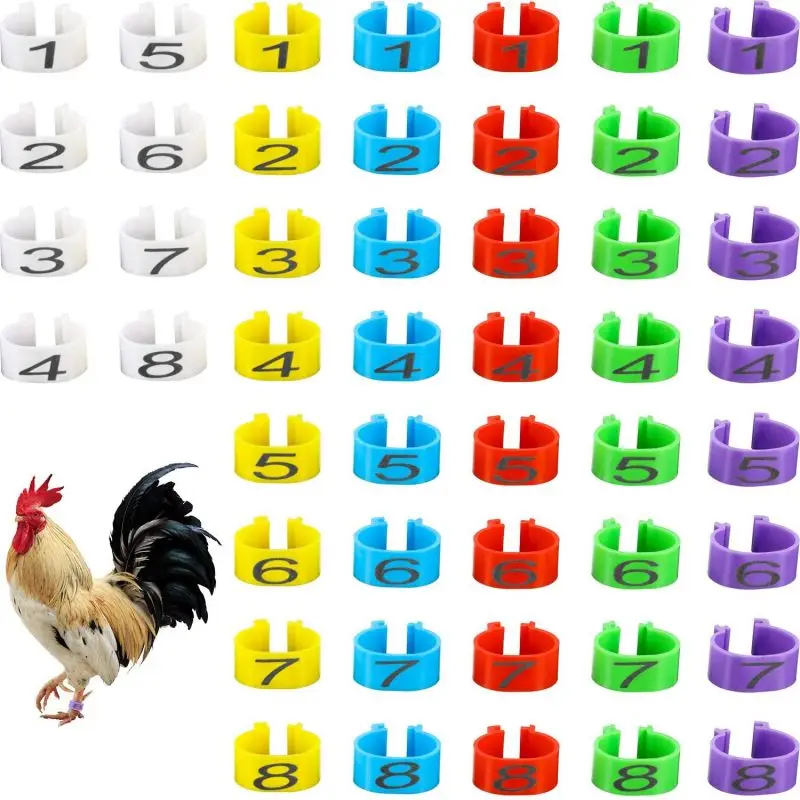 Chicken Leg Rings Multiple Color Identification Band Numbered Clip On For Gamefowl Poultry On Turkey Duck Goose Guinea  Rings