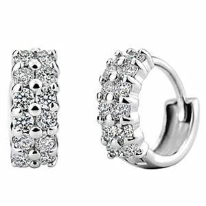 New 925 Sterling Silver Women Jewelry Fashion Double Row Shiny Zircon Earrings Female Models Suitable for Valentines Day Gift