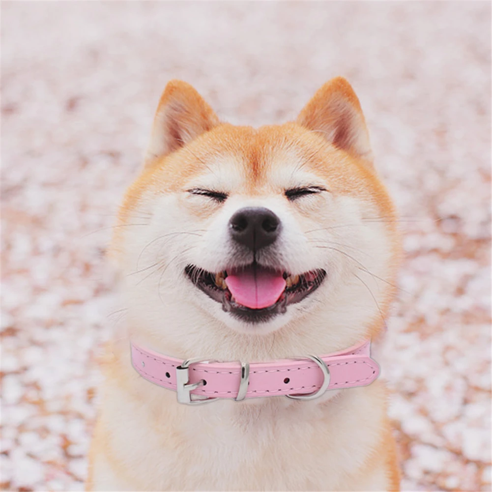 Аксессуары для домашних животных искусственная кожа Xs S M L Xl чихуахуа ожерелье