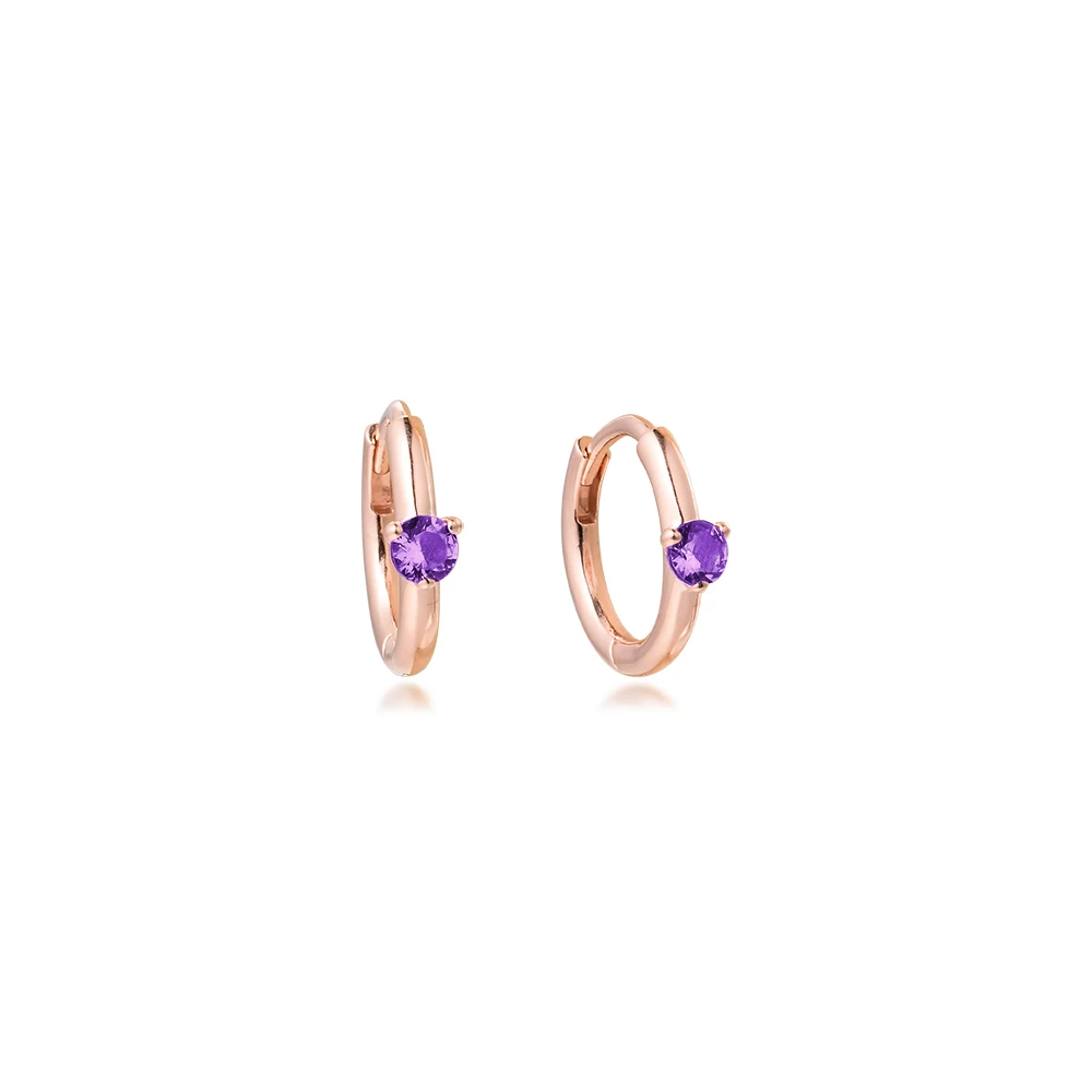 

2021 Girl for Friend Hoop Clear CZ Rose Golden Free Shipping Wholesale Jewelry Circle Round Female Earrings for Women