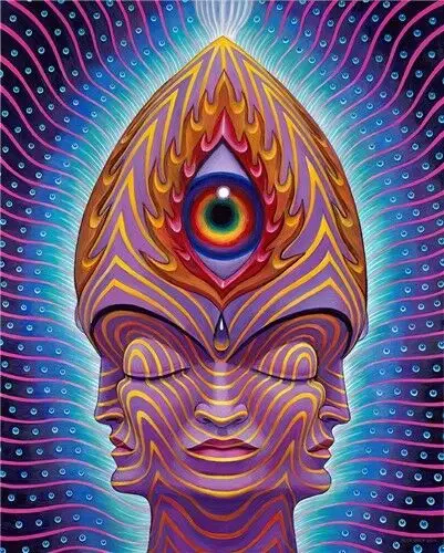 Абстрактный художественный Шелковый плакат Trippy Alex Grey 24x36 дюймов|Рисование и