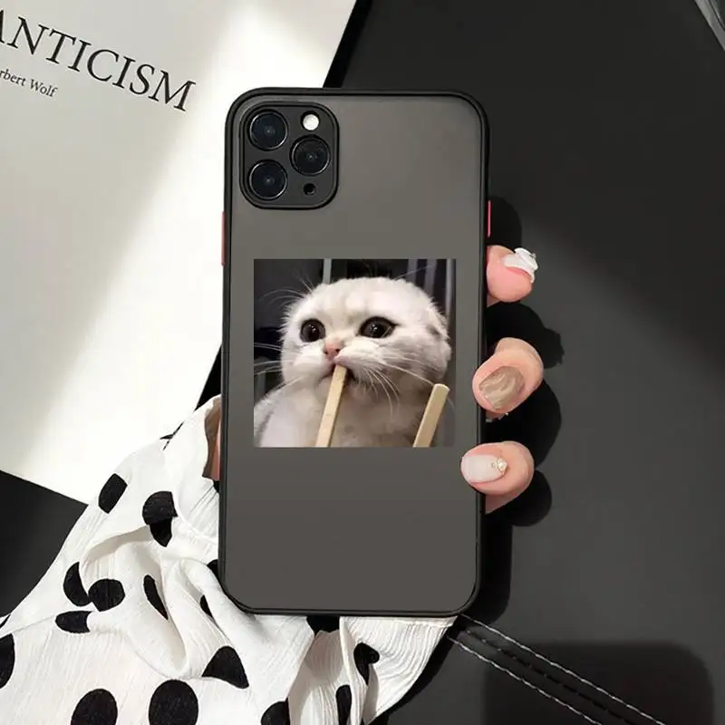 

Cute Cat Phone Cases matte transparent For iphone 7 8 11 12 plus mini x xs xr pro max cover
