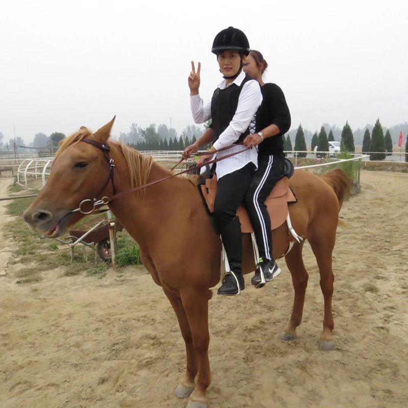 

ELOS-Equestrian Armor Protective Riding Vest for Adults and Children Clothing Armor Horseback Riding Safety Vest