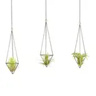 2 шт. треугольный цветочный бронзовый Держатель геометрический трехсторонний полый каркас растительная Опора горшок без почвы для Tillandsia Airplants Dis