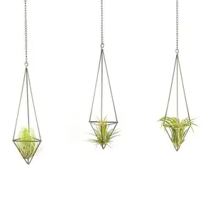 2 шт. треугольный цветочный бронзовый Держатель геометрический трехсторонний полый каркас растительная Опора горшок без почвы для Tillandsia Airplants Dis