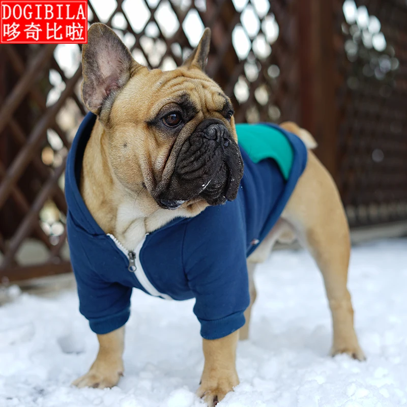Одежда для борьбы с собакой на осень и зиму утолщенный модный свитер капюшоном