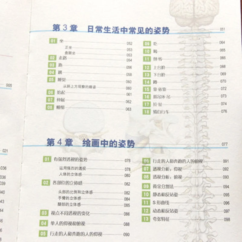 Human Anatomy Sketch Drawing Techniques Encyclopedia Anime Body Structure Teaching Painting Books Hand Book |